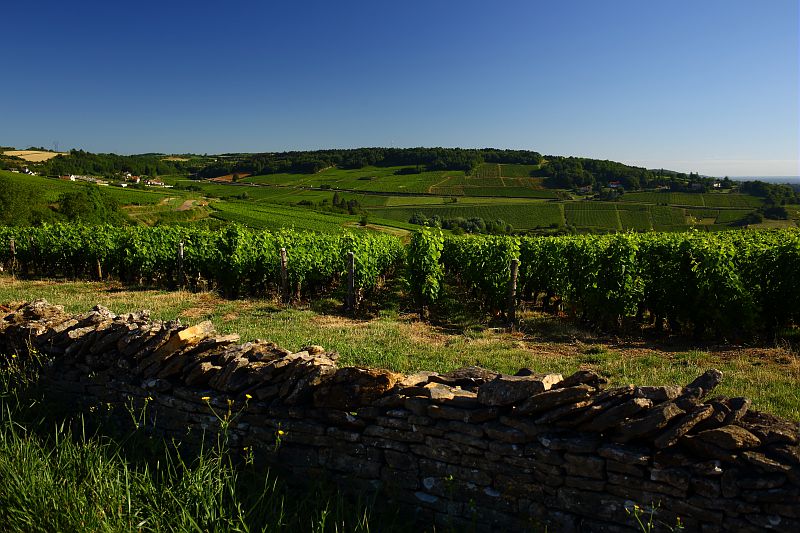 Sampigny-les-Maranges : le vignoble des Maranges - Saône-et-Loire Tourisme