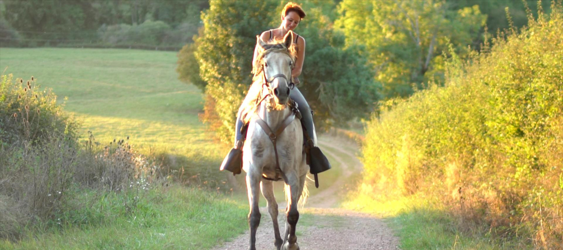Balades à cheval en Saône-et-Loire