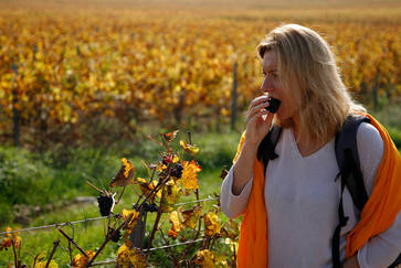 Des femmes et des vins en Saône-et-Loire
