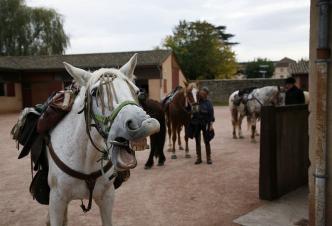 Curbigny : cavaliers dans la cour du château de Drée - Saône-et-Loire Tourisme
