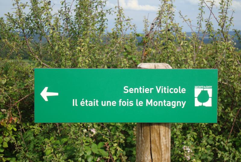 Sentier viticole du Montagny