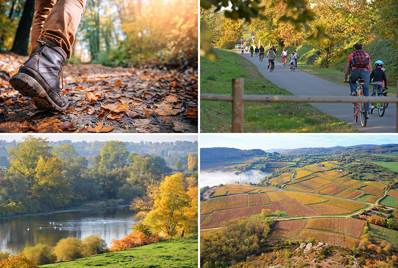 Au coeur de la nature cet automne en Bourgogne du Sud