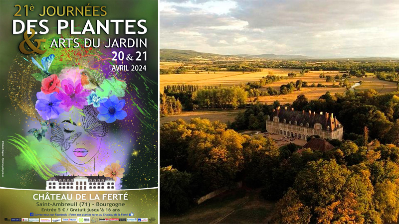 21e  journées des plantes et arts du jardin au Château de la Ferté