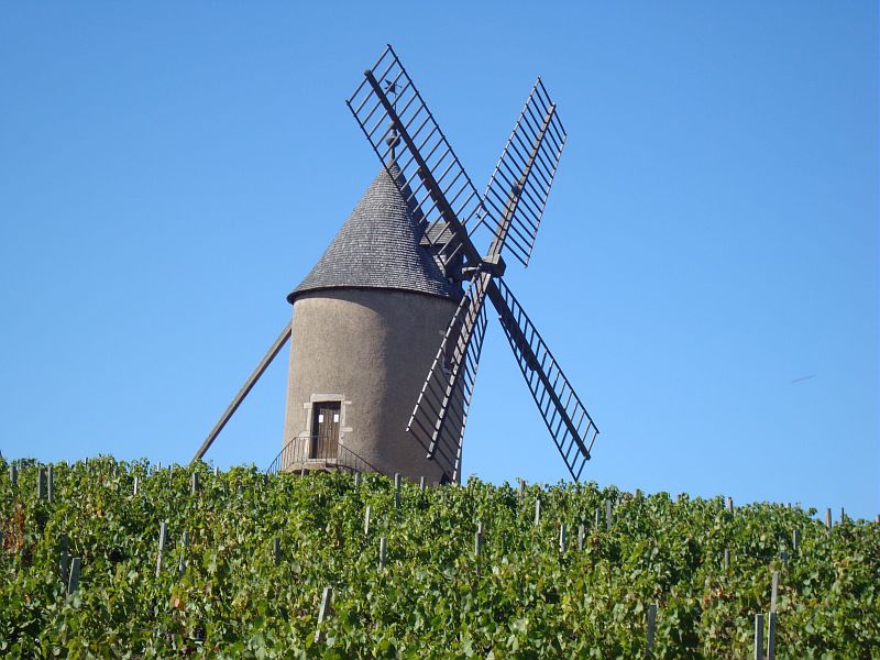 Romanèche-Thorins : le Moulin à Vent - Saône-et-Loire Tourisme