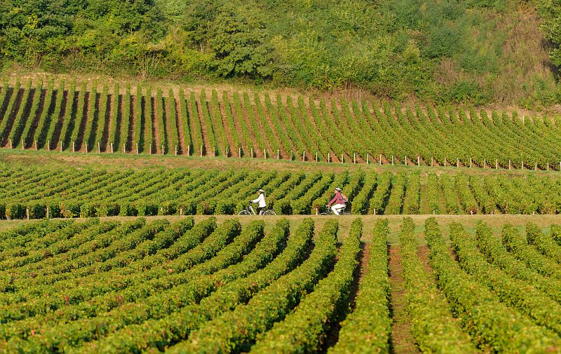 Saint-Boil : la voie verte au coeur des vignes à Etiveau -  Saône-et-Loire Tourisme