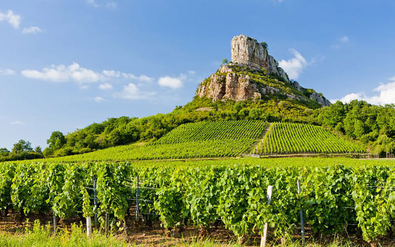 Solutré-Pouilly et Vergisson : les roches de Solutré et Vergisson, le vignoble, le village de Vergisson - Saône-et-Loire Tourisme