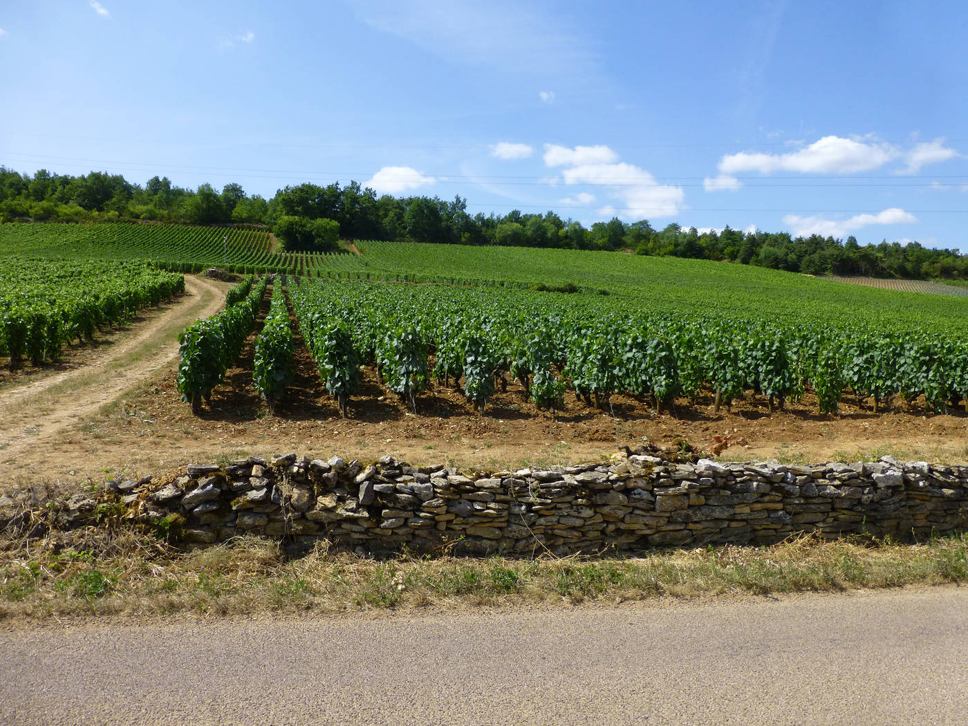 Domaine Chaussin 