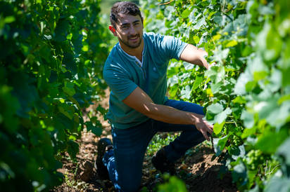 Vincent ROYET - Grands Vins de Bourgogne