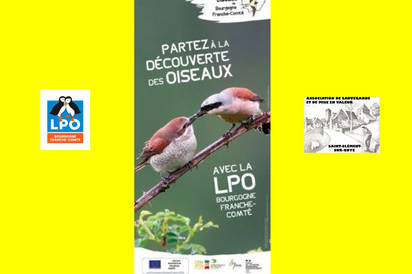 Exposition Oiseaux de Bourgogne