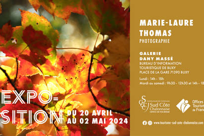 Exposition de Marie-Laure THOMAS Du 20 avr au 2 mai 2024