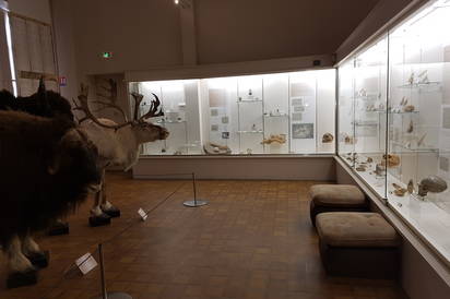 Museum d'Histoire Naturelle Jacques de La Comble