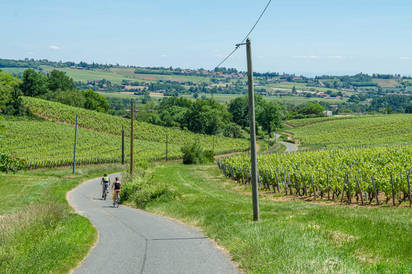 La Vélo Gourmande en Sud-Bourgogne 