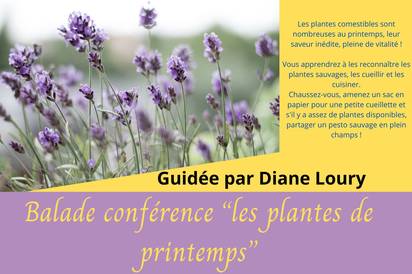 Balade Conférence "Les plantes de printemps" Le 4 mai 2024