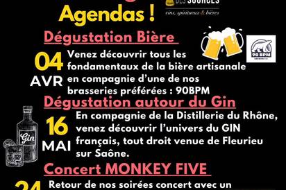 Soirée Concert Monkey Five